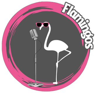 Flamingos